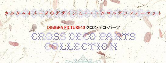 DIGIGRA PICTURE40タイトルイメージ